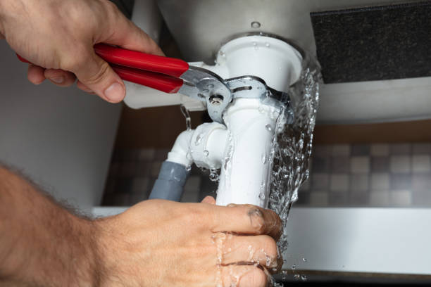 Best Professional water damage repair  in Steelevle, IL