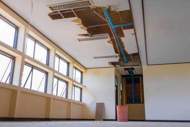 Best Water damage restoration near me  in Steelevle, IL