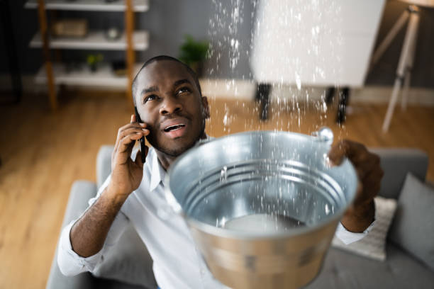 Best Basement water damage restoration  in Steelevle, IL