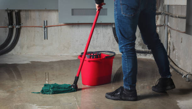 Best 24-hour water damage restoration  in Steelevle, IL