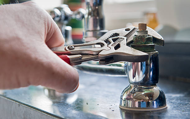 Best Mold removal after water damage  in Steelevle, IL