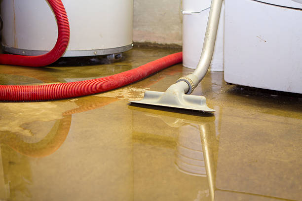 Best Sewage cleanup and water damage restoration  in Steelevle, IL
