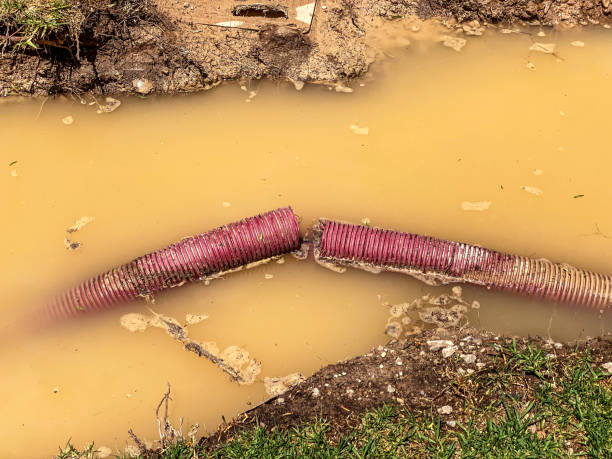 Best Water damage restoration near me  in Steelevle, IL